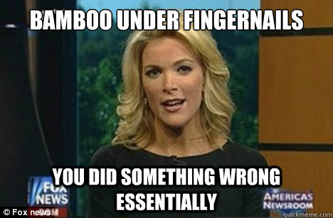 Bamboo Under fingernails you did something wrong essentially  Megyn Kelly