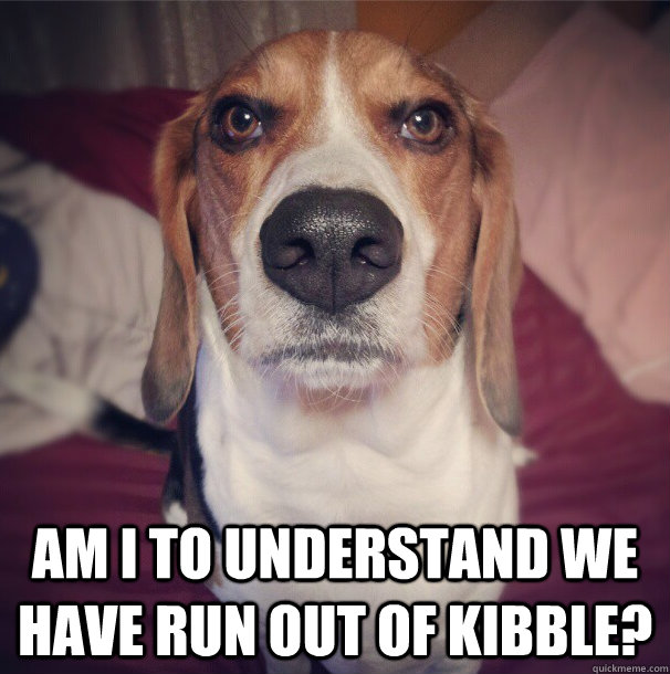 Funny Beagle Memes Vlr Eng Br