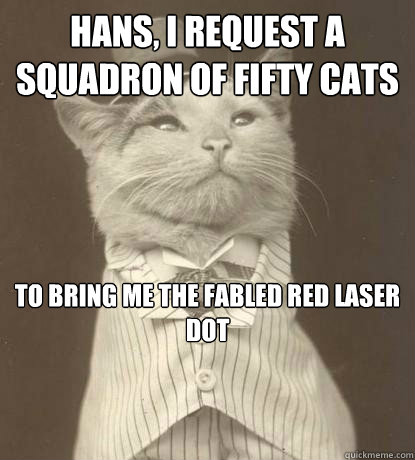 Hans, i request a squadron of fifty cats to bring me the fabled red laser dot  Aristocat