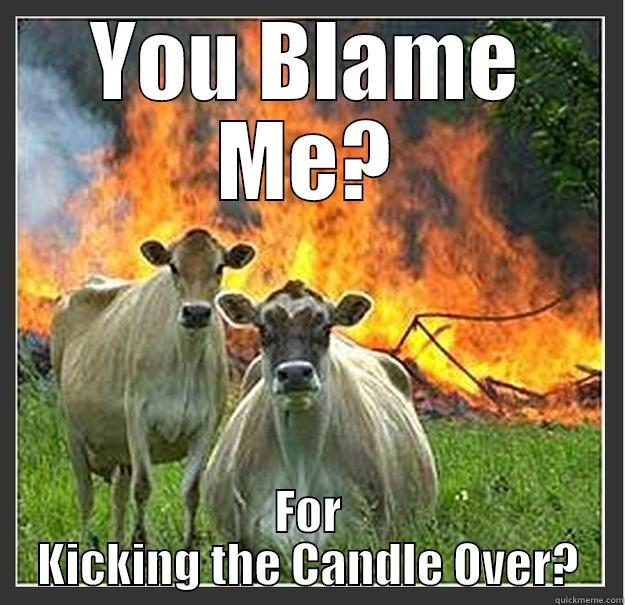 YOU BLAME ME? FOR KICKING THE CANDLE OVER? Evil cows