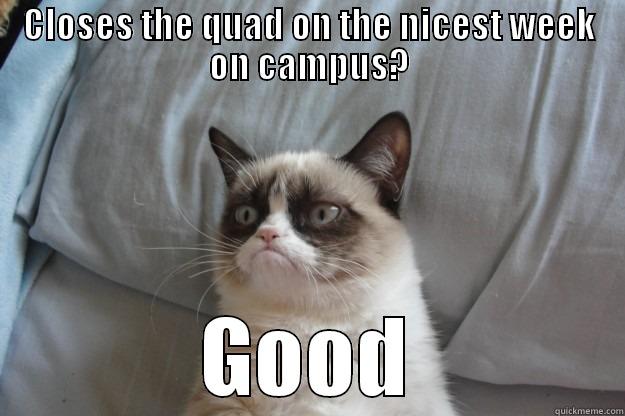 CLOSES THE QUAD ON THE NICEST WEEK ON CAMPUS? GOOD Grumpy Cat