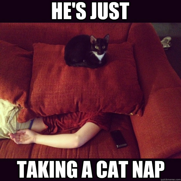 he's just taking a cat nap - he's just taking a cat nap  jealous cat