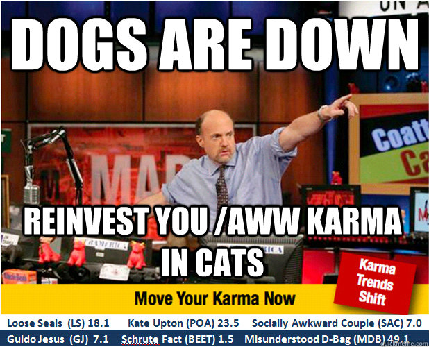 dogs are down reinvest you /aww karma in cats  Jim Kramer with updated ticker