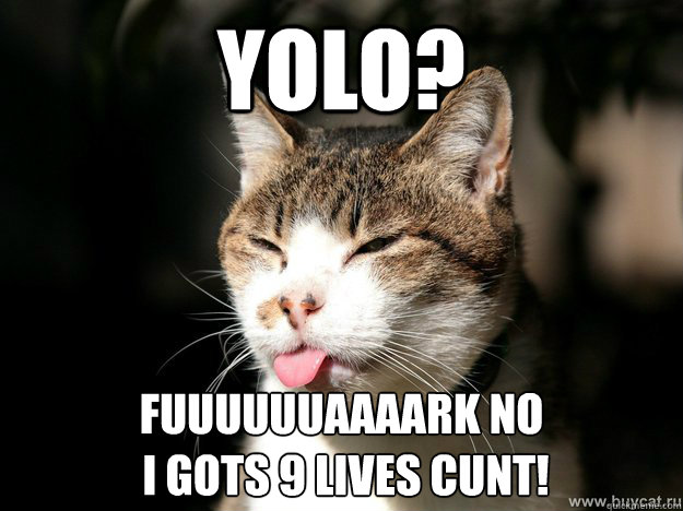 YOLO? FUUUUUUaaaARK no 
 i gots 9 Lives cunt!  