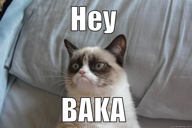 HEY BAKA Grumpy Cat