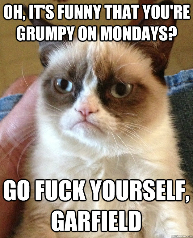 Oh, it's funny that you're grumpy on mondays? Go fuck yourself, Garfield  Grumpy Cat