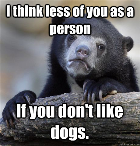 I think less of you as a person If you don't like dogs.  Confession Bear