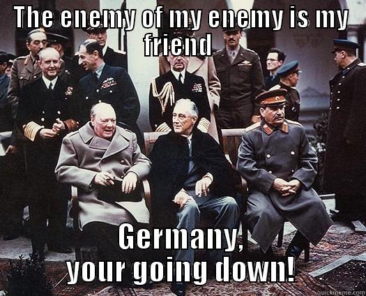 THE ENEMY OF MY ENEMY IS MY FRIEND  GERMANY, YOUR GOING DOWN! Misc