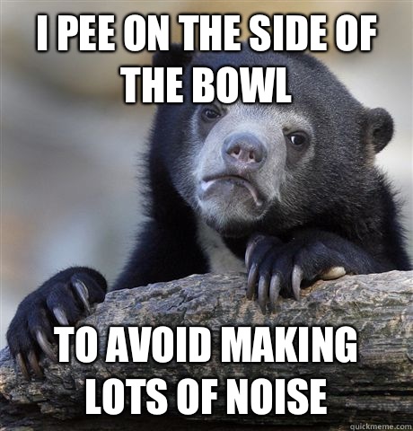 I pee on the side of the bowl To avoid making lots of noise   Confession Bear