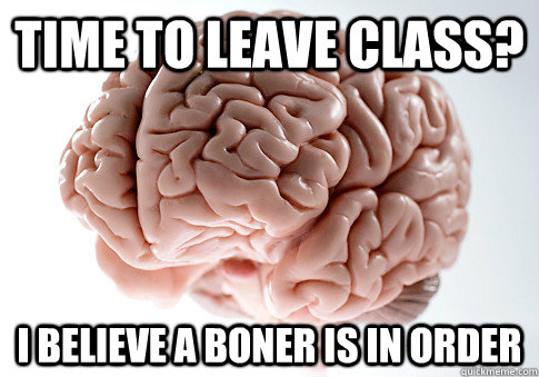 TIME TO LEAVE CLASS? I BELIEVE A BONER IS IN ORDER   Scumbag Brain