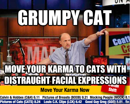 Grumpy cat move your karma to cats with distraught facial expressions  Mad Karma with Jim Cramer