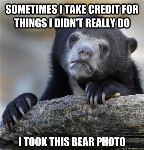 sometimes i take credit for things i didn't really do I took this bear photo  Confession Bear