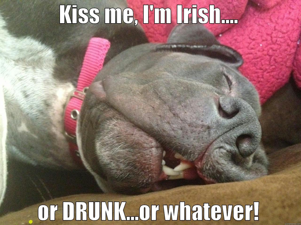 KISS ME, I'M IRISH.... OR DRUNK...OR WHATEVER! Misc