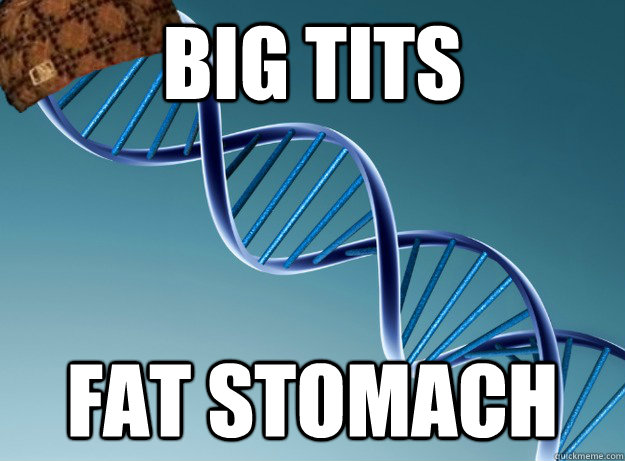 big tits fat stomach - big tits fat stomach  Scumbag Genetics