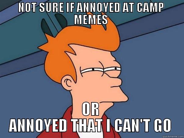 haha camp - NOT SURE IF ANNOYED AT CAMP MEMES OR ANNOYED THAT I CAN'T GO Futurama Fry