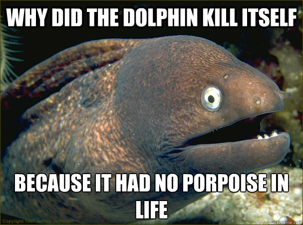 Why Did the Dolphin Kill Itself Because it had no porpoise in life  Bad Joke Eel