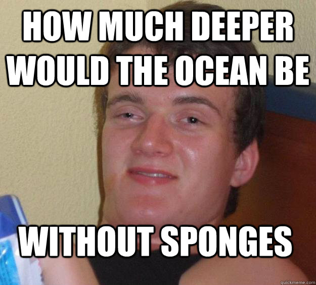 How much deeper would the ocean be without sponges  10 Guy