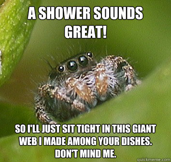 A shower sounds great! So I'll just sit tight in this giant web I made among your dishes.
Don't mind me. - A shower sounds great! So I'll just sit tight in this giant web I made among your dishes.
Don't mind me.  Misunderstood Spider