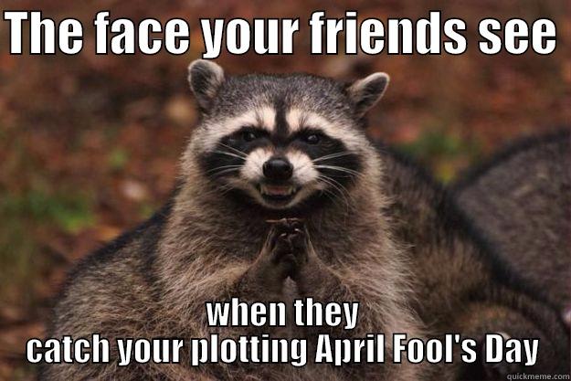 THE FACE YOUR FRIENDS SEE  WHEN THEY CATCH YOUR PLOTTING APRIL FOOL'S DAY Evil Plotting Raccoon