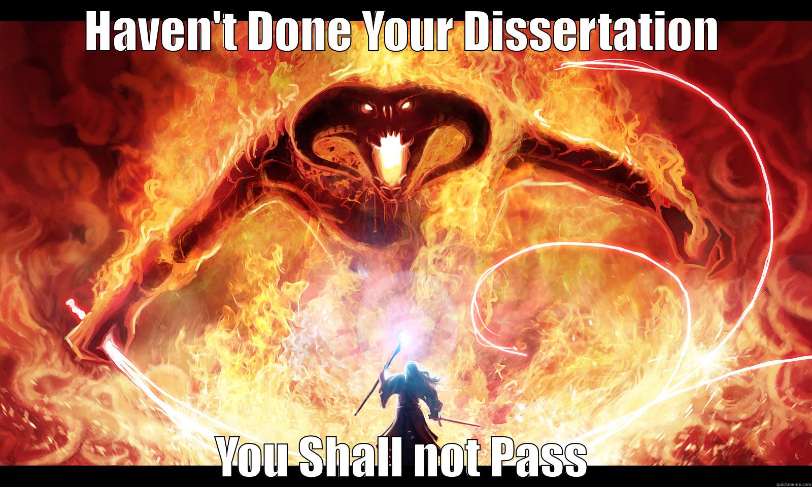 HAVEN'T DONE YOUR DISSERTATION YOU SHALL NOT PASS Misc