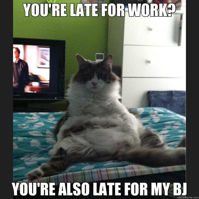 YOU'RE LATE FOR WORK? YOU'RE ALSO LATE FOR MY BJ  Inappropriately Horny Cat