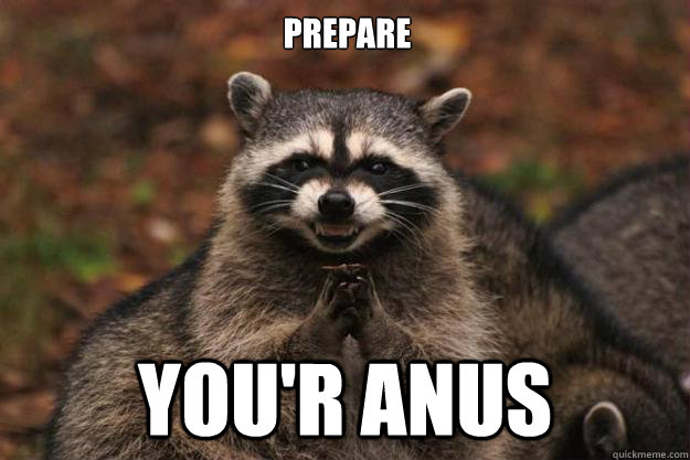 Prepare you'r anus  Evil Plotting Raccoon