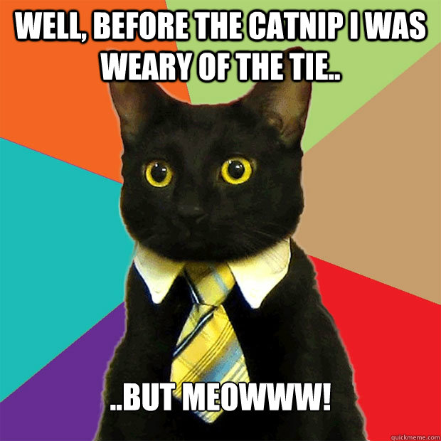 well, before the catnip I was weary of the tie.. ..but meowww!  Business Cat