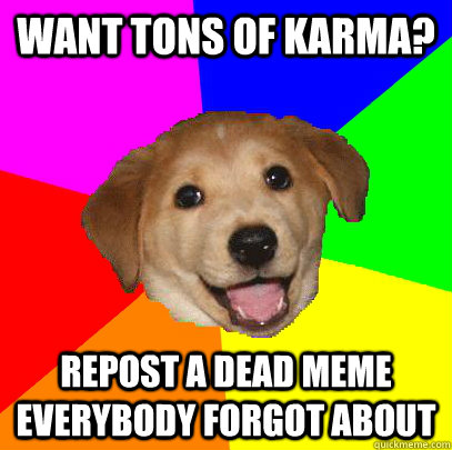 Want tons of karma? Repost a dead meme everybody forgot about  Advice Dog