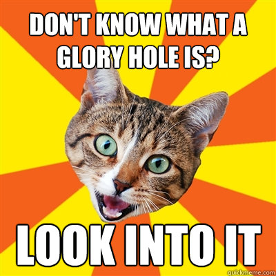 don't know what a glory hole is? look into it  Bad Advice Cat