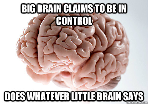 Big brain claims to be in control does whatever little brain says  Scumbag Brain