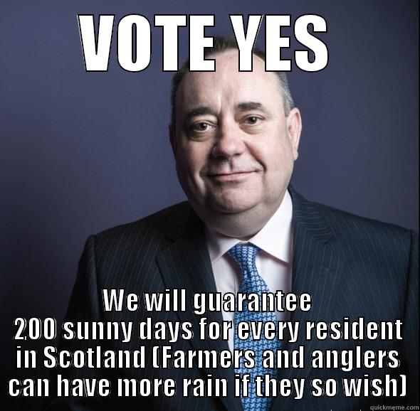 VOTE YES WE WILL GUARANTEE 200 SUNNY DAYS FOR EVERY RESIDENT IN SCOTLAND (FARMERS AND ANGLERS CAN HAVE MORE RAIN IF THEY SO WISH) Misc