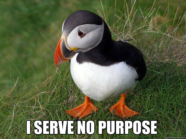 I serve no purpose - I serve no purpose  Misc