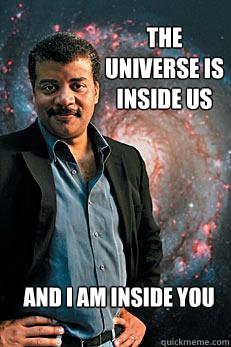 The universe is inside us And I am inside you  Neil deGrasse Tyson