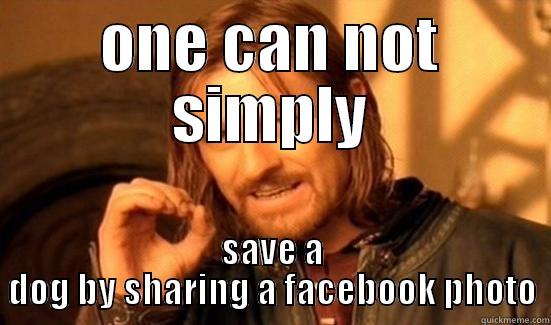 save a dog? really?!?1 - ONE CAN NOT SIMPLY SAVE A DOG BY SHARING A FACEBOOK PHOTO Boromir