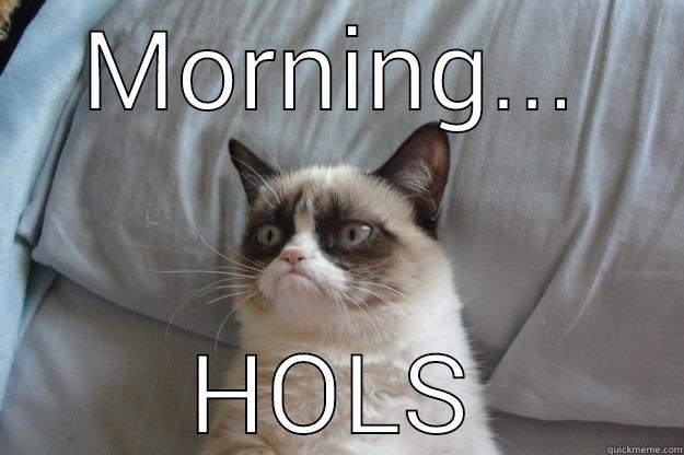 MORNING... HOLS Grumpy Cat