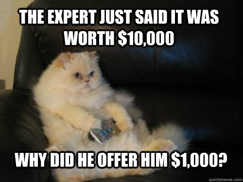 The expert just said it was worth $10,000 Why did he offer him $1,000?  Disapproving TV Cat