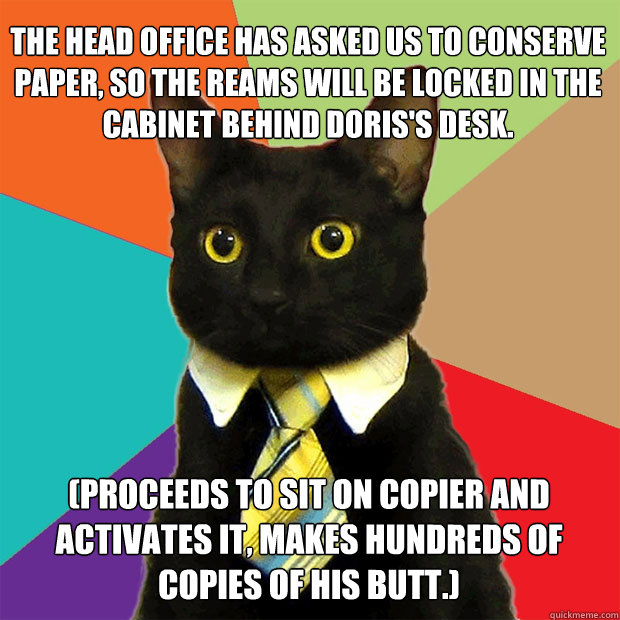 The head office has asked us to conserve paper, so the reams will be locked in the cabinet behind Doris's desk. (Proceeds to sit on copier and activates it, makes hundreds of copies of his butt.) - The head office has asked us to conserve paper, so the reams will be locked in the cabinet behind Doris's desk. (Proceeds to sit on copier and activates it, makes hundreds of copies of his butt.)  Business Cat