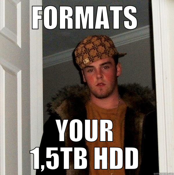 FORMATS YOUR 1,5TB HDD Scumbag Steve