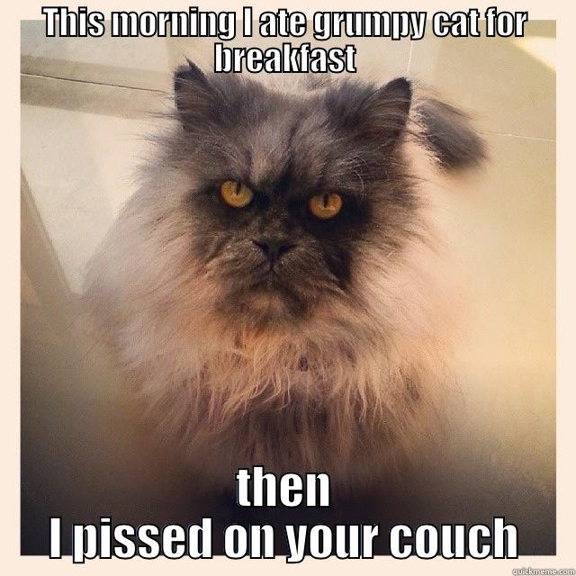 Scary cat - THIS MORNING I ATE GRUMPY CAT FOR BREAKFAST THEN I PISSED ON YOUR COUCH Misc