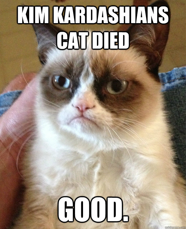 kim kardashians cat died good.   Grumpy Cat