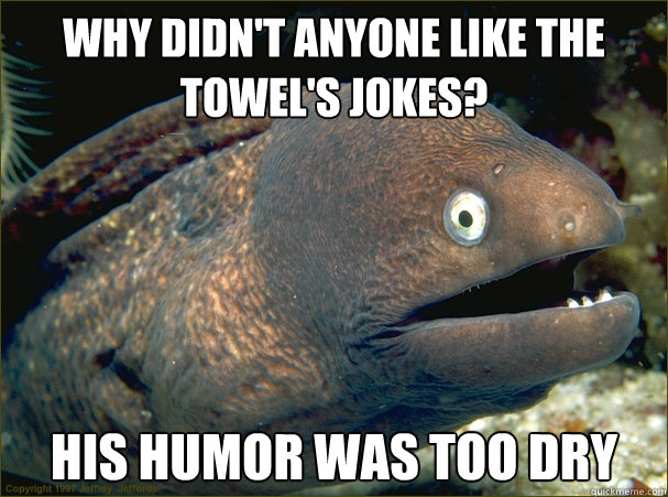 Why didn't anyone like the Towel's jokes? His humor was too dry  Bad Joke Eel