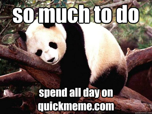 so much to do spend all day on quickmeme.com  Procrastination Panda