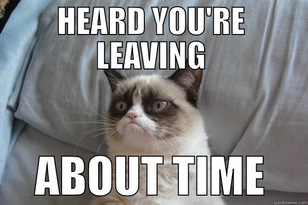 Grumpy cat farwell - HEARD YOU'RE LEAVING ABOUT TIME Grumpy Cat