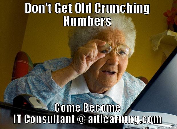 Financial Analyst Becomes Old crunching number - DON'T GET OLD CRUNCHING NUMBERS COME BECOME IT CONSULTANT @ AITLEARNING.COM Grandma finds the Internet