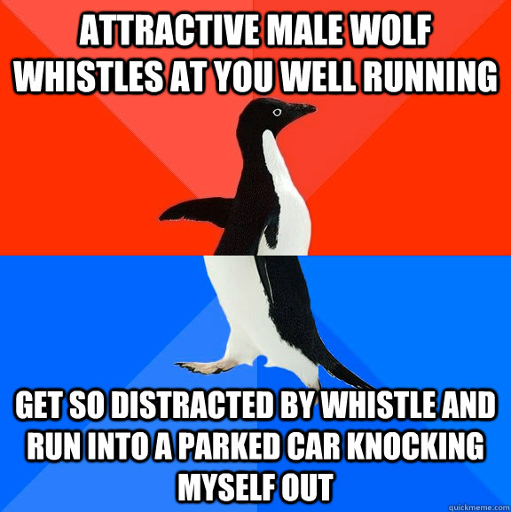 attractive male wolf whistles at you well running get so distracted by whistle and run into a parked car knocking myself out - attractive male wolf whistles at you well running get so distracted by whistle and run into a parked car knocking myself out  Socially Awesome Awkward Penguin