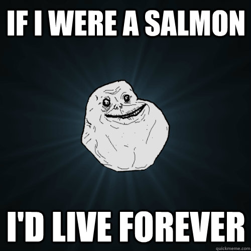 If I were a salmon I'd live forever  Forever Alone