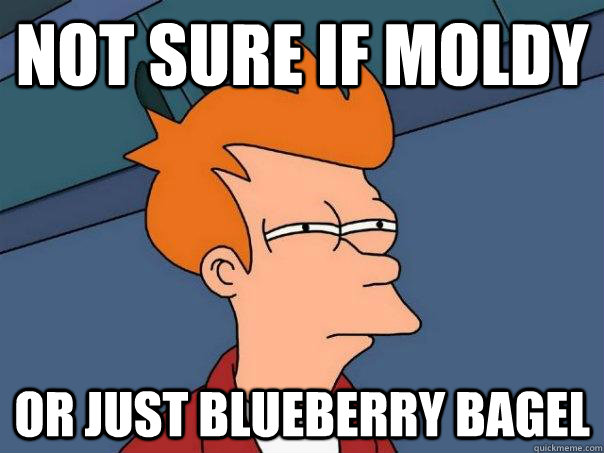 not sure if moldy or just blueberry bagel  Futurama Fry