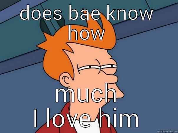 DOES BAE KNOW HOW MUCH I LOVE HIM Futurama Fry