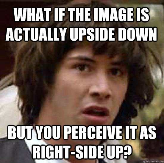 What if the image is actually upside down But you perceive it as right-side up? - What if the image is actually upside down But you perceive it as right-side up?  conspiracy keanu