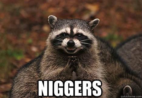  NIGGERS  evil racoon